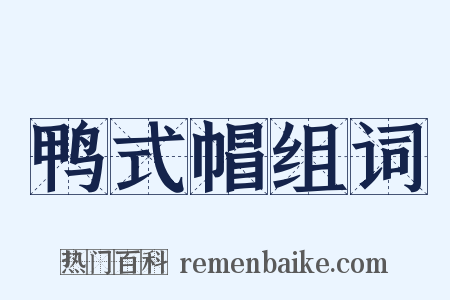 鸭式帽组词是什么意思的图片
